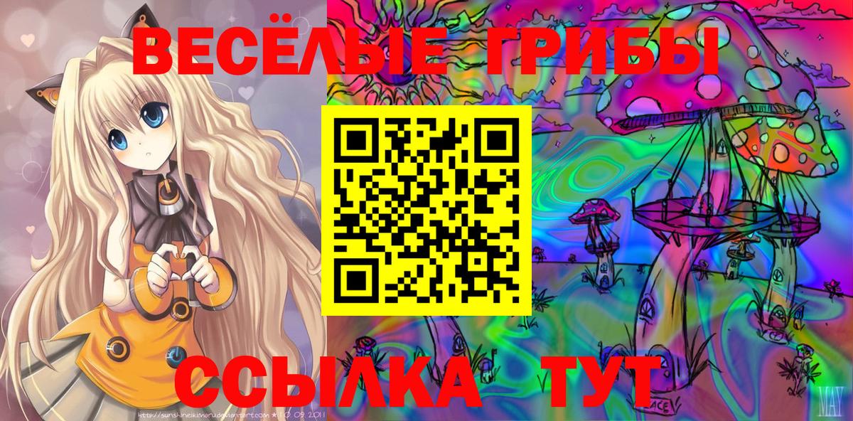 Галлюциногенные грибы мухоморы  Псилоцибиновые грибы MAGIC MUSHROOMS  Вход с VPN  Шали 